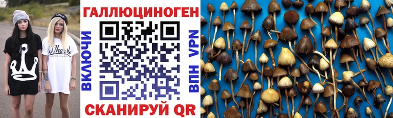 Псилоцибиновые грибы Magic Shrooms  Альметьевск 