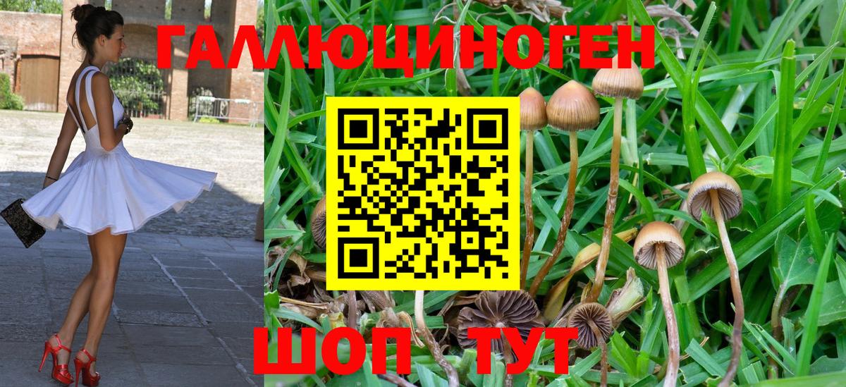 Псилоцибиновые грибы GOLDEN TEACHER Альметьевск