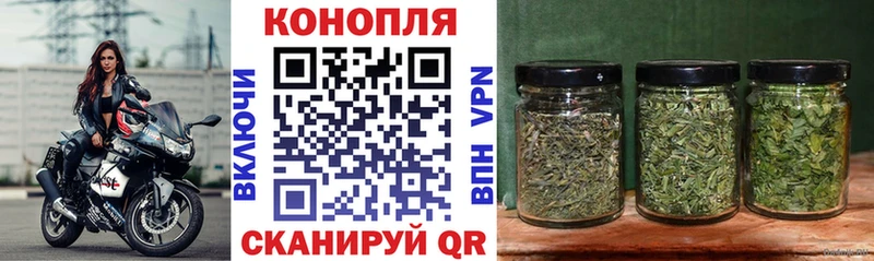 Марихуана план гидра ссылки Альметьевск